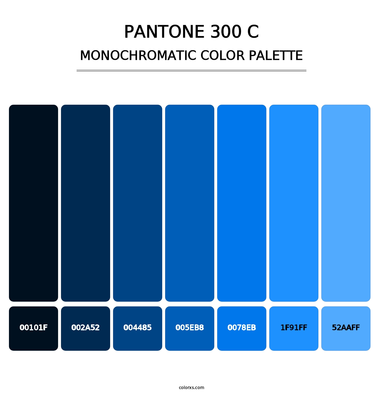 PANTONE 300 C - Monochromatic Color Palette