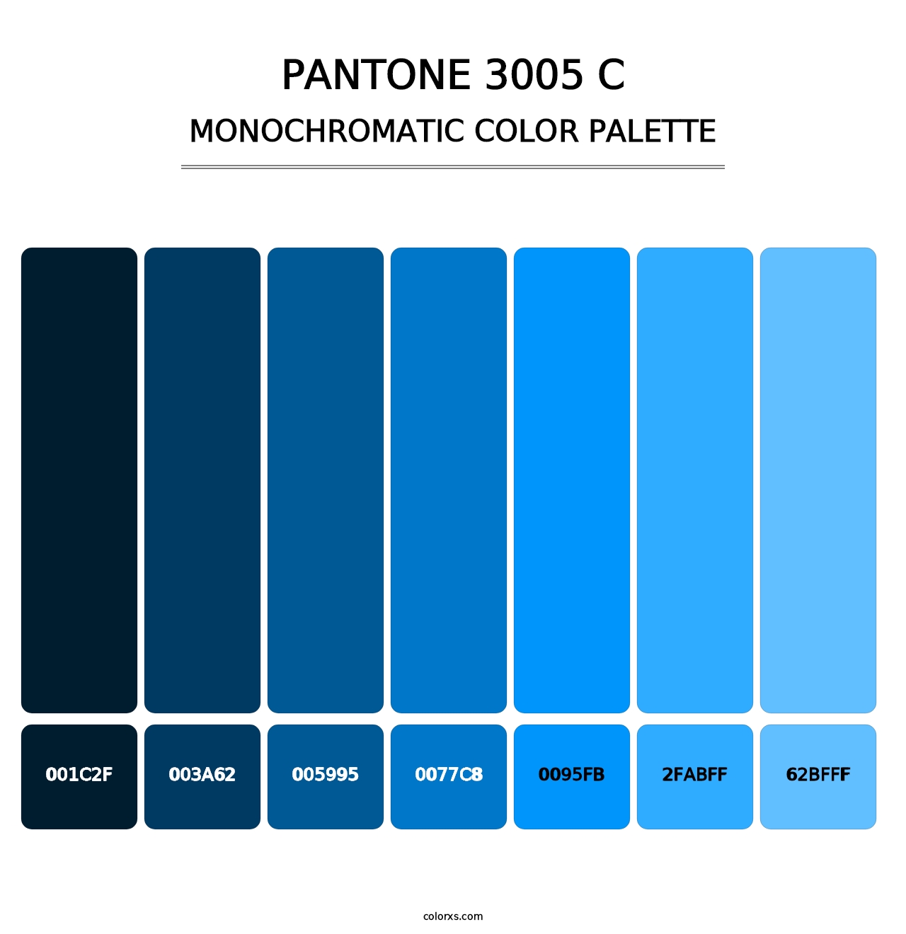 PANTONE 3005 C - Monochromatic Color Palette