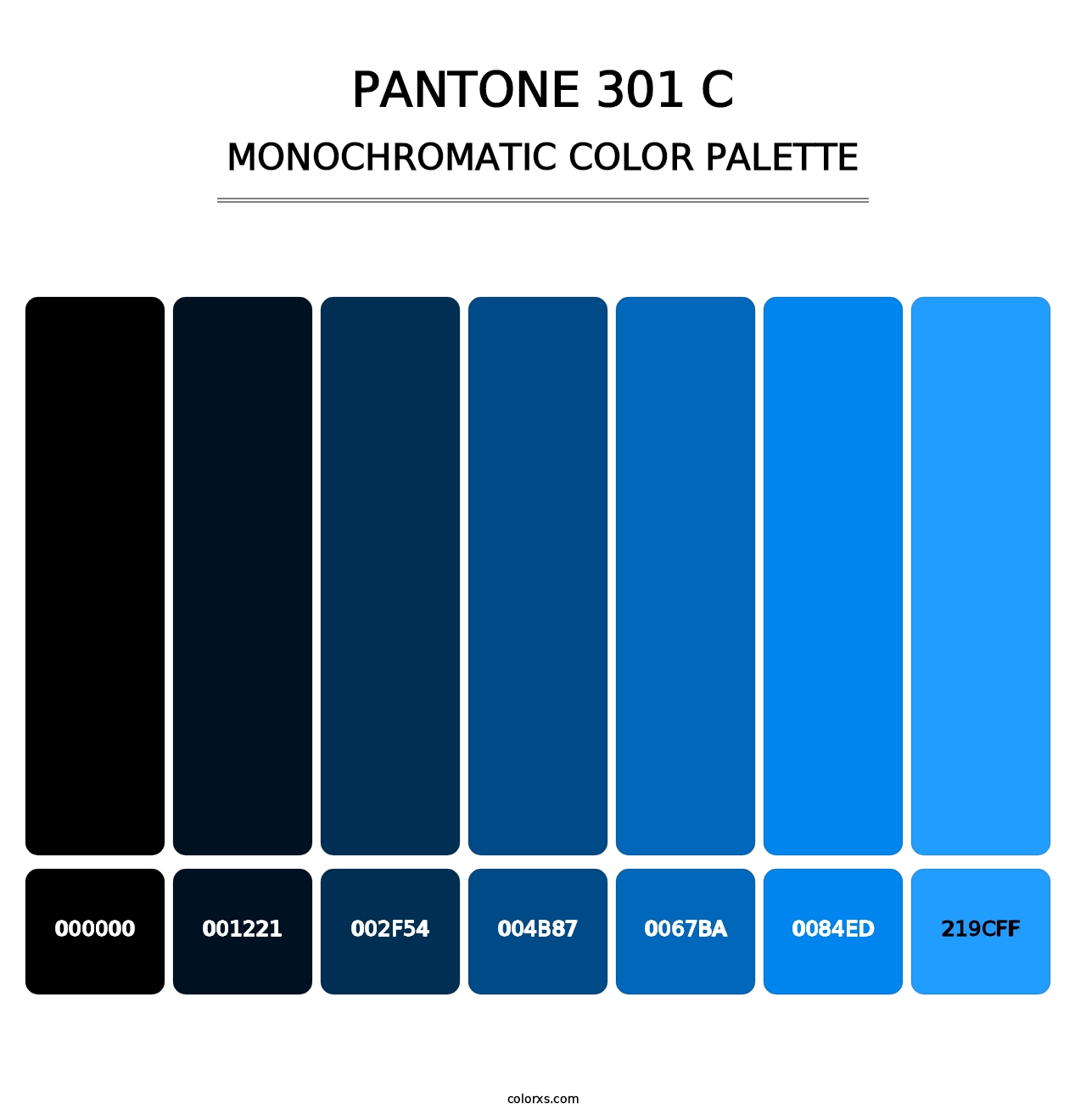 PANTONE 301 C - Monochromatic Color Palette