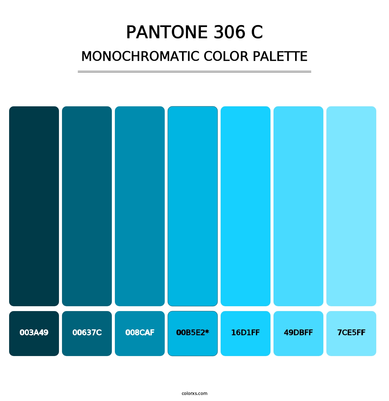 PANTONE 306 C - Monochromatic Color Palette