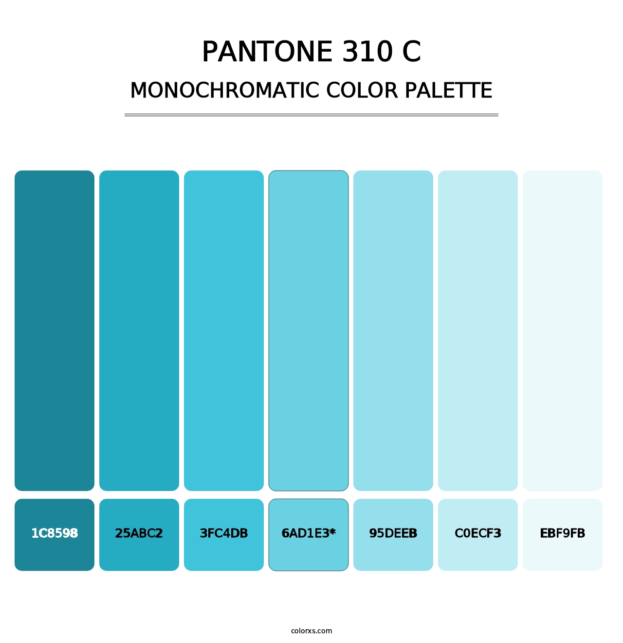 PANTONE 310 C - Monochromatic Color Palette