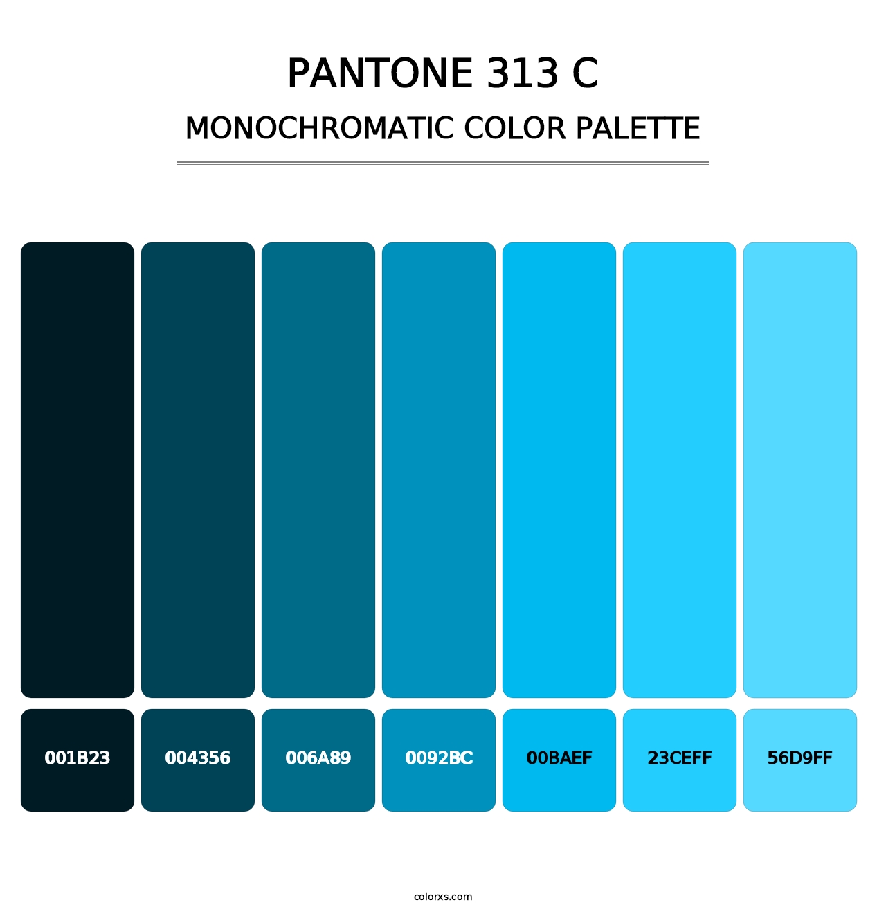 PANTONE 313 C - Monochromatic Color Palette