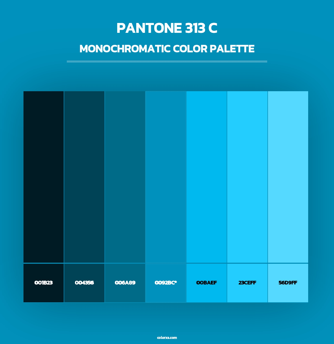 PANTONE 313 C - Monochromatic Color Palette