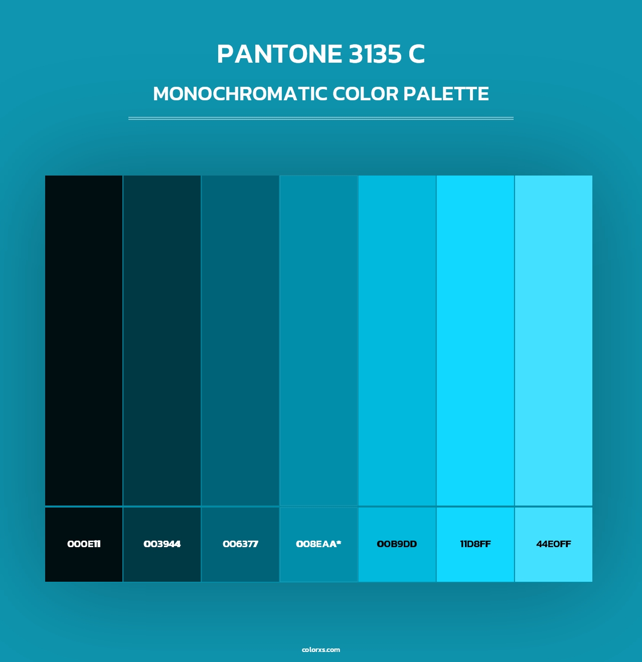 PANTONE 3135 C - Monochromatic Color Palette