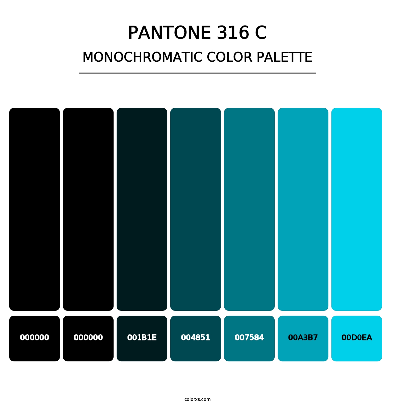PANTONE 316 C - Monochromatic Color Palette