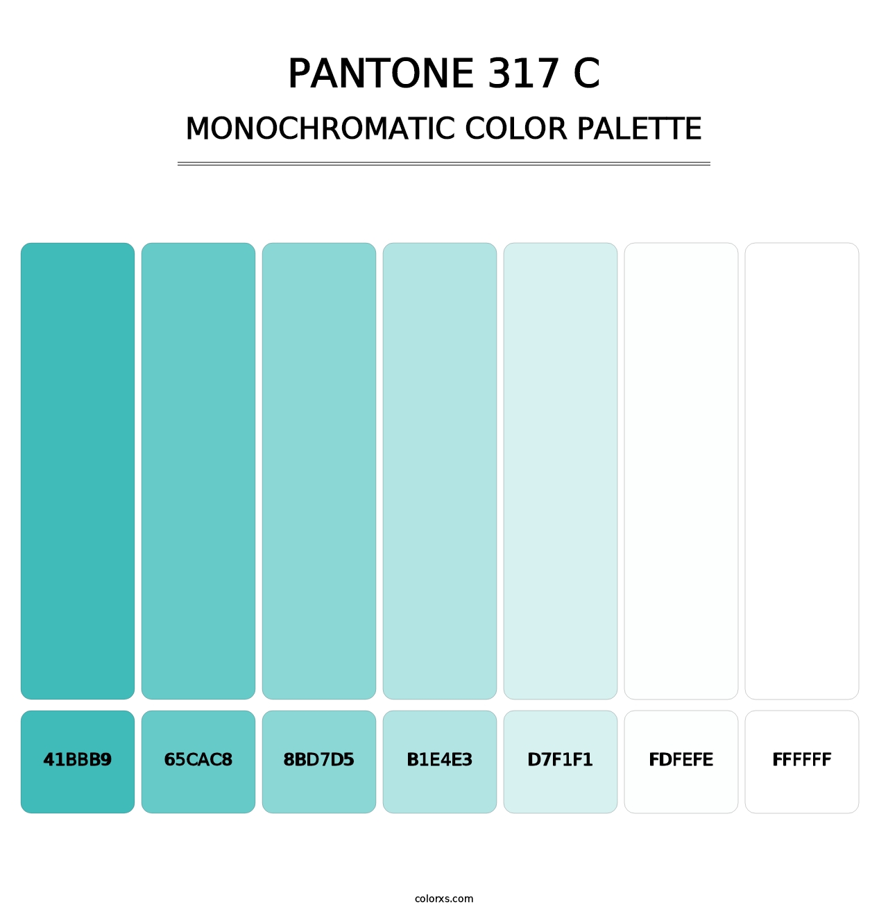 PANTONE 317 C - Monochromatic Color Palette