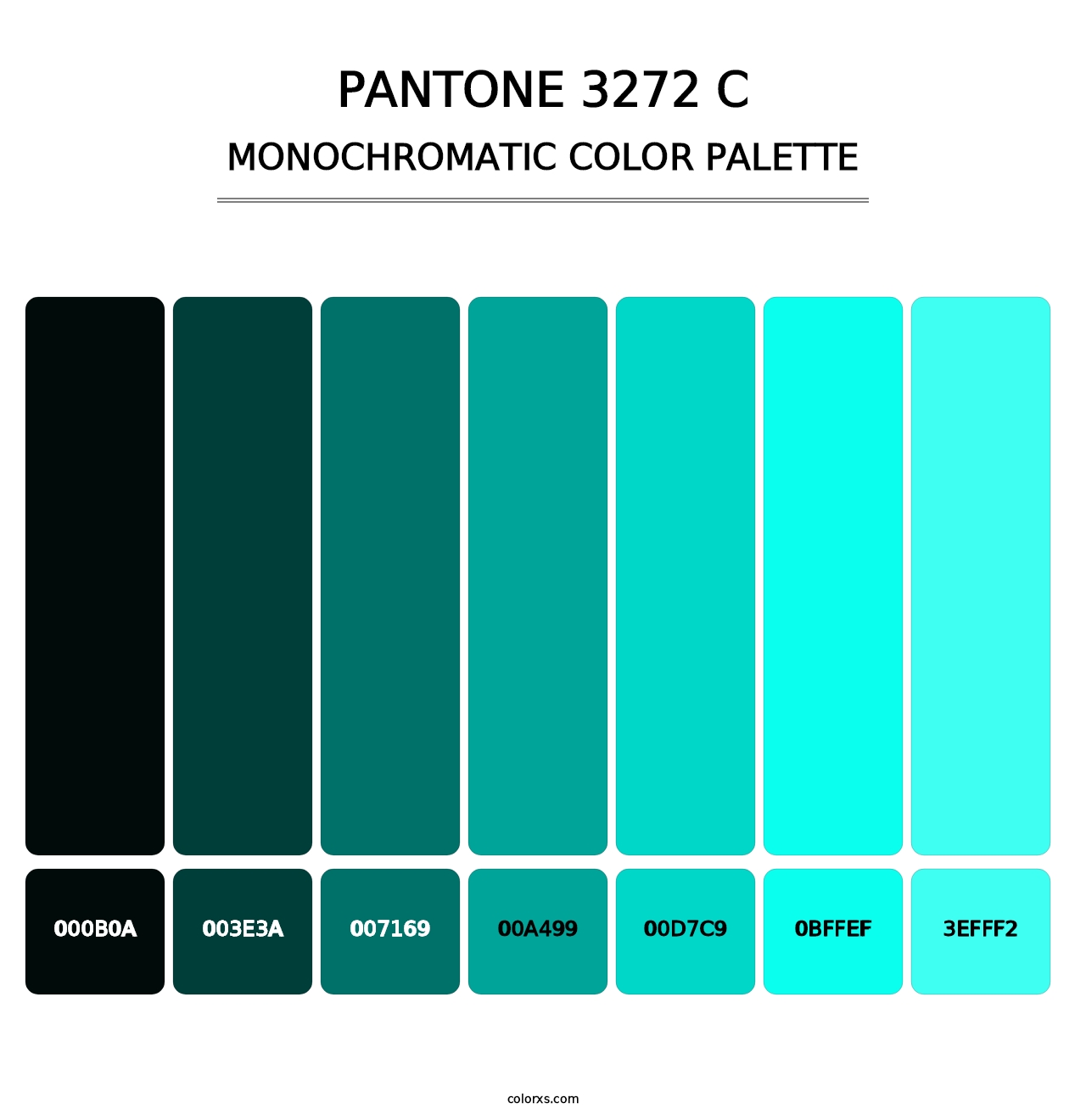PANTONE 3272 C - Monochromatic Color Palette