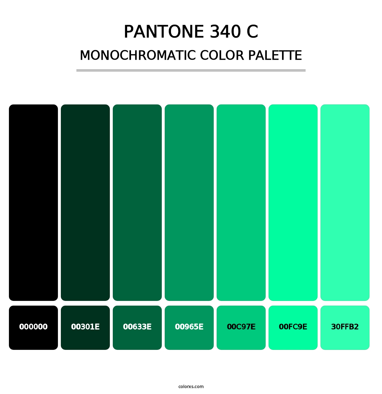 PANTONE 340 C - Monochromatic Color Palette