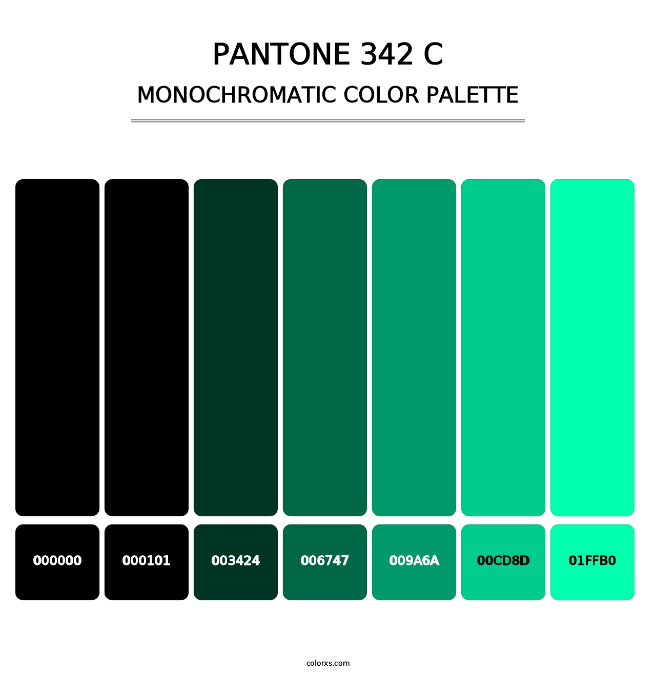 PANTONE 342 C - Monochromatic Color Palette