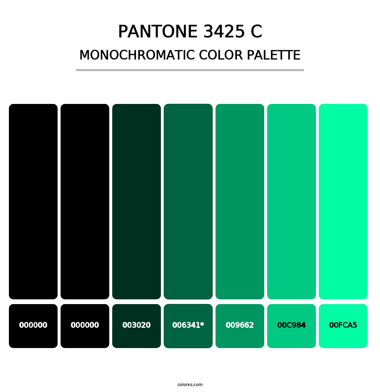 PANTONE 3425 C - Monochromatic Color Palette