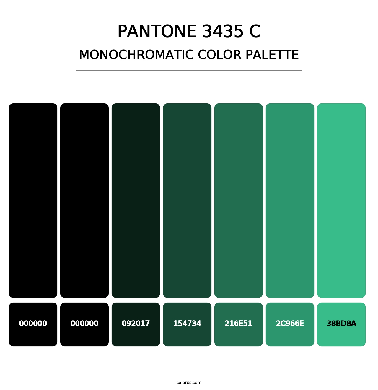 PANTONE 3435 C - Monochromatic Color Palette