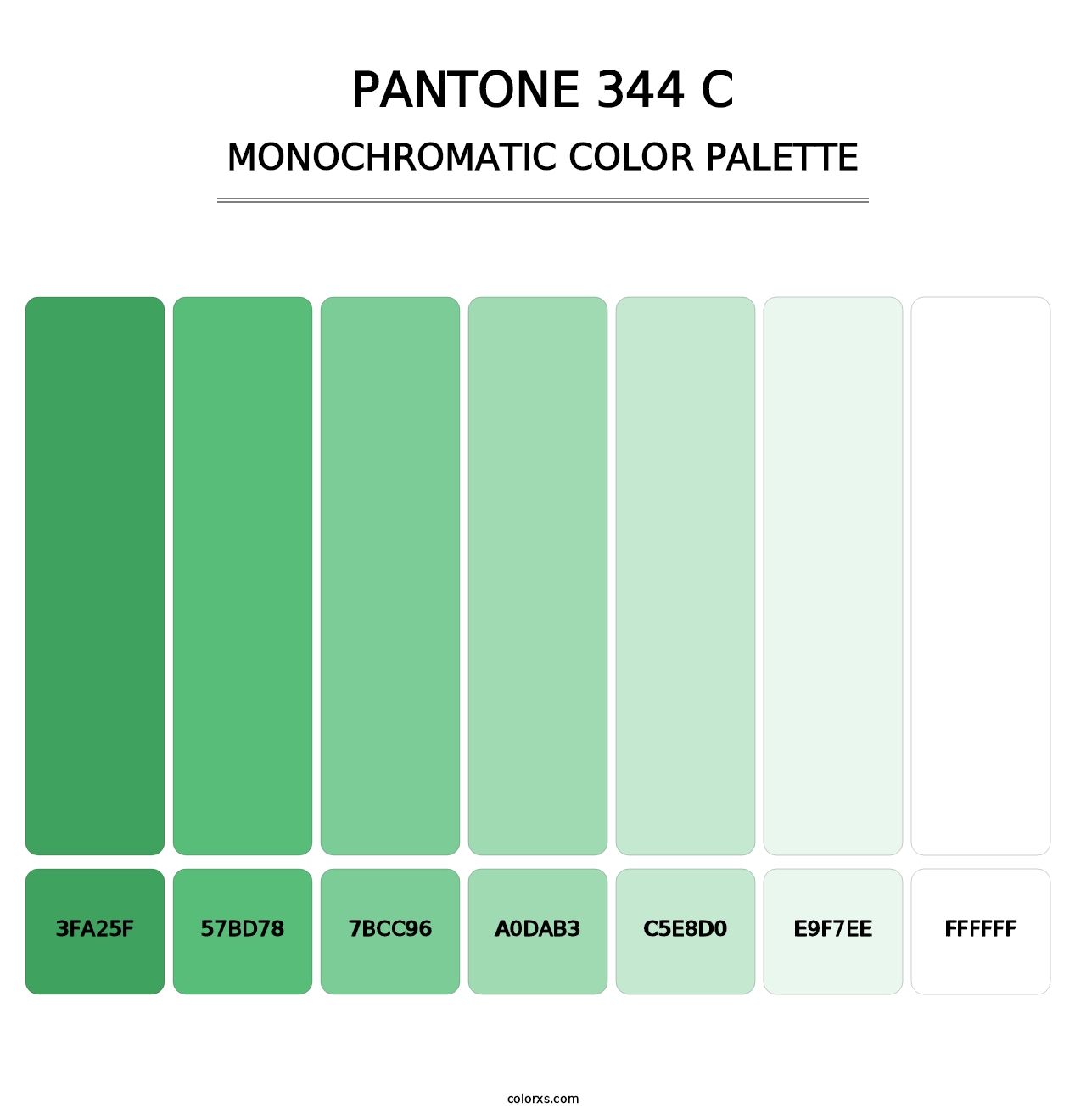 PANTONE 344 C - Monochromatic Color Palette