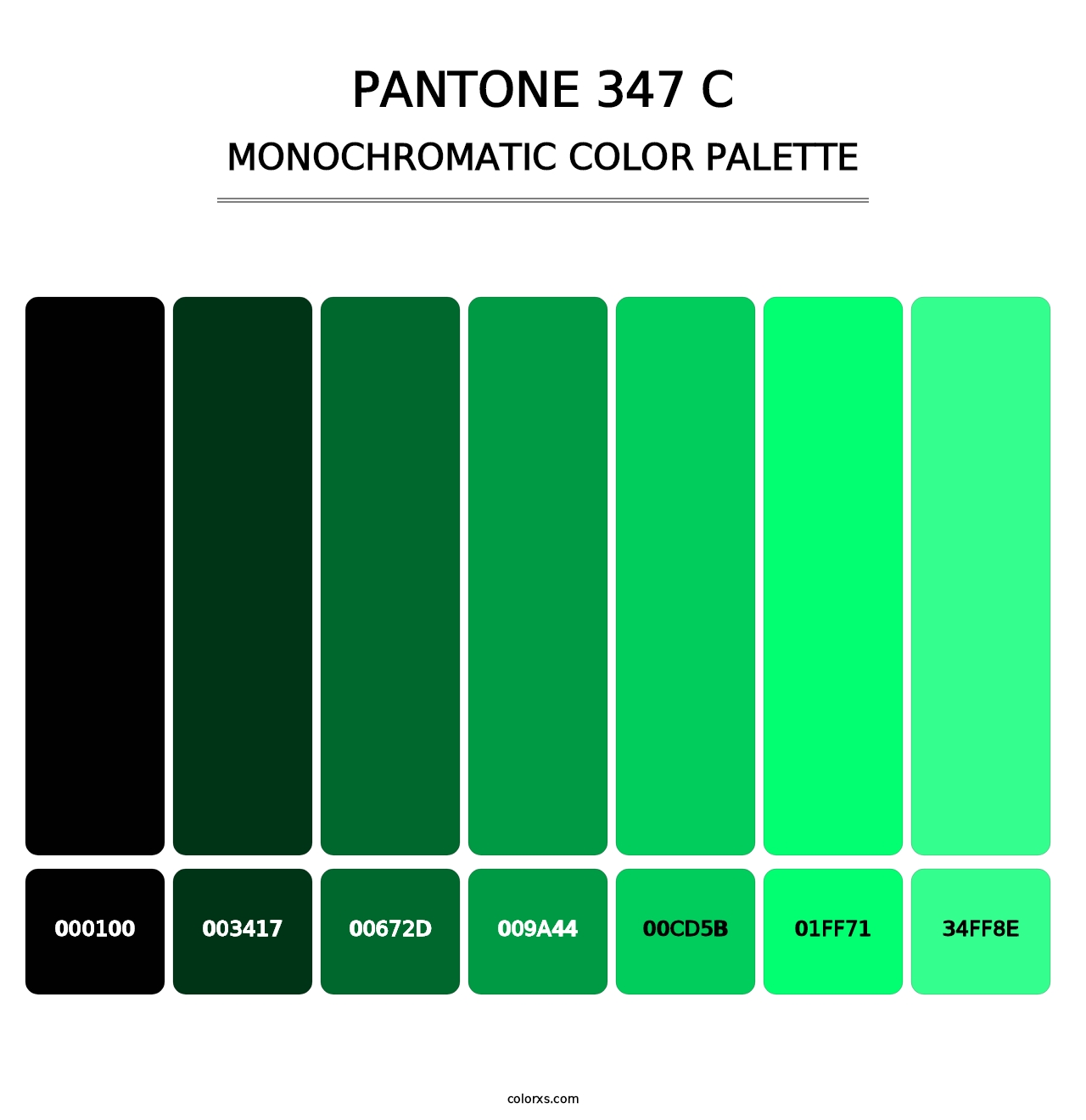 PANTONE 347 C - Monochromatic Color Palette