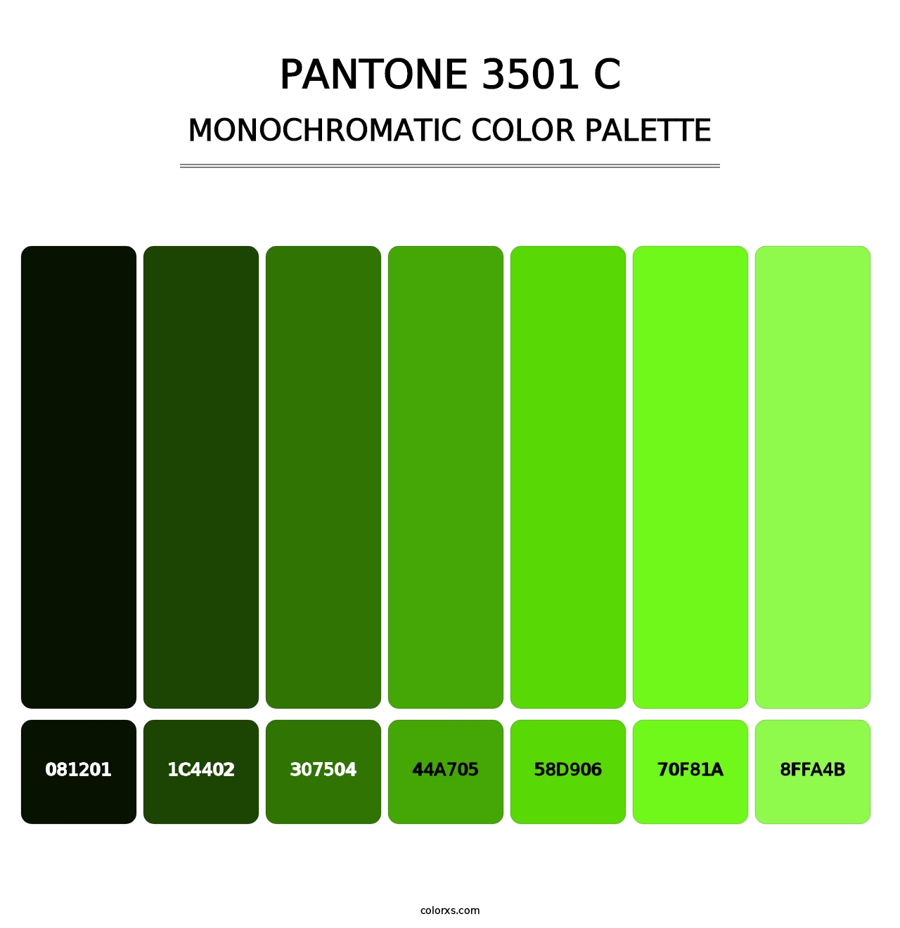 PANTONE 3501 C - Monochromatic Color Palette