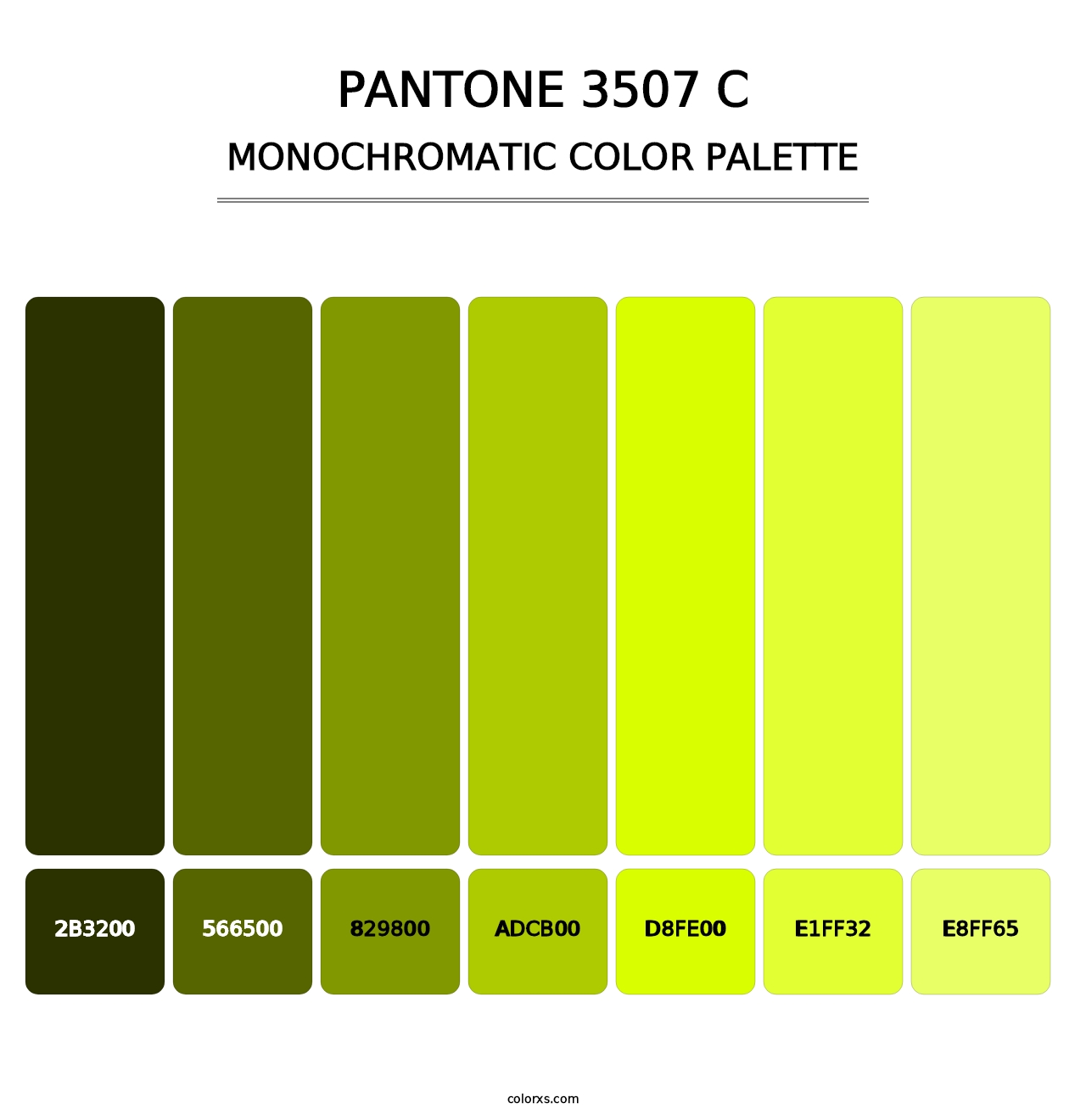 PANTONE 3507 C - Monochromatic Color Palette