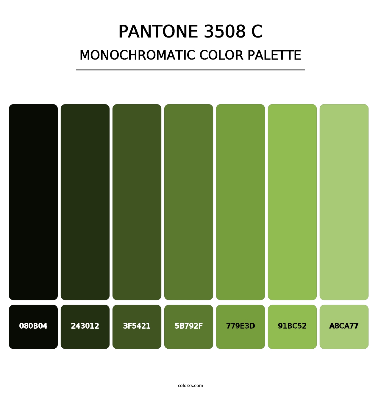 PANTONE 3508 C - Monochromatic Color Palette