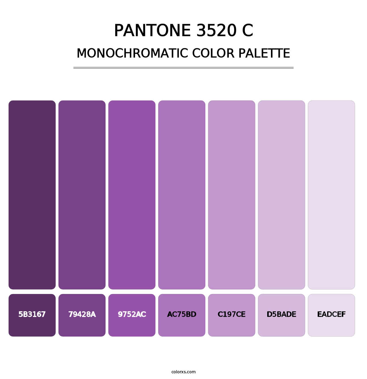 PANTONE 3520 C - Monochromatic Color Palette