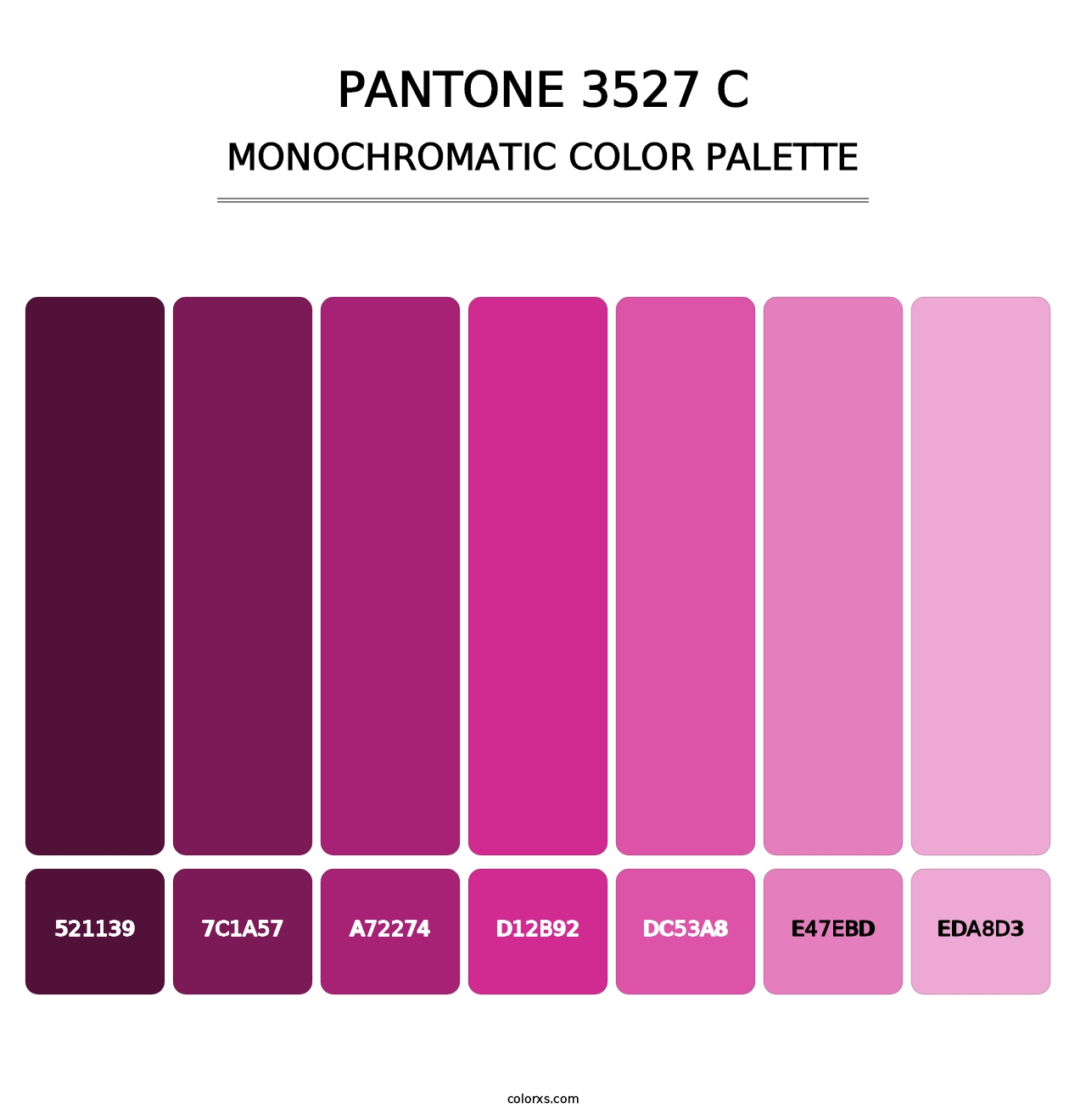 PANTONE 3527 C - Monochromatic Color Palette