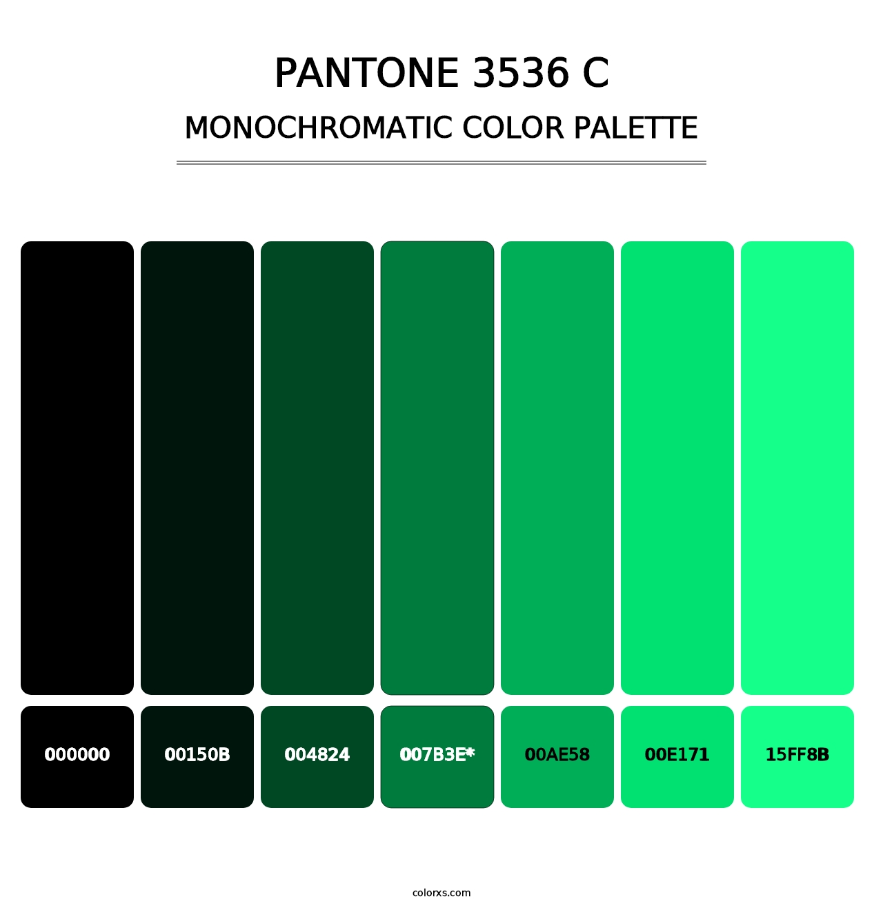 PANTONE 3536 C - Monochromatic Color Palette