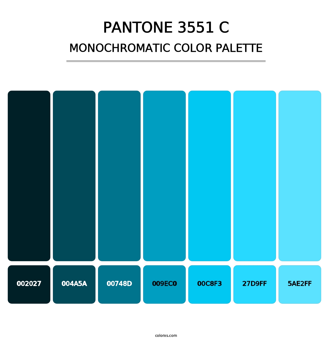 PANTONE 3551 C - Monochromatic Color Palette