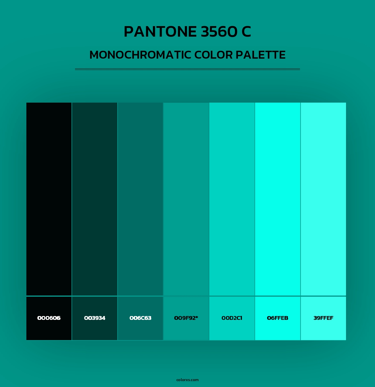 PANTONE 3560 C - Monochromatic Color Palette