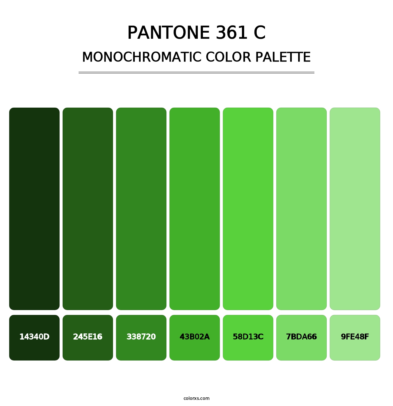 PANTONE 361 C - Monochromatic Color Palette