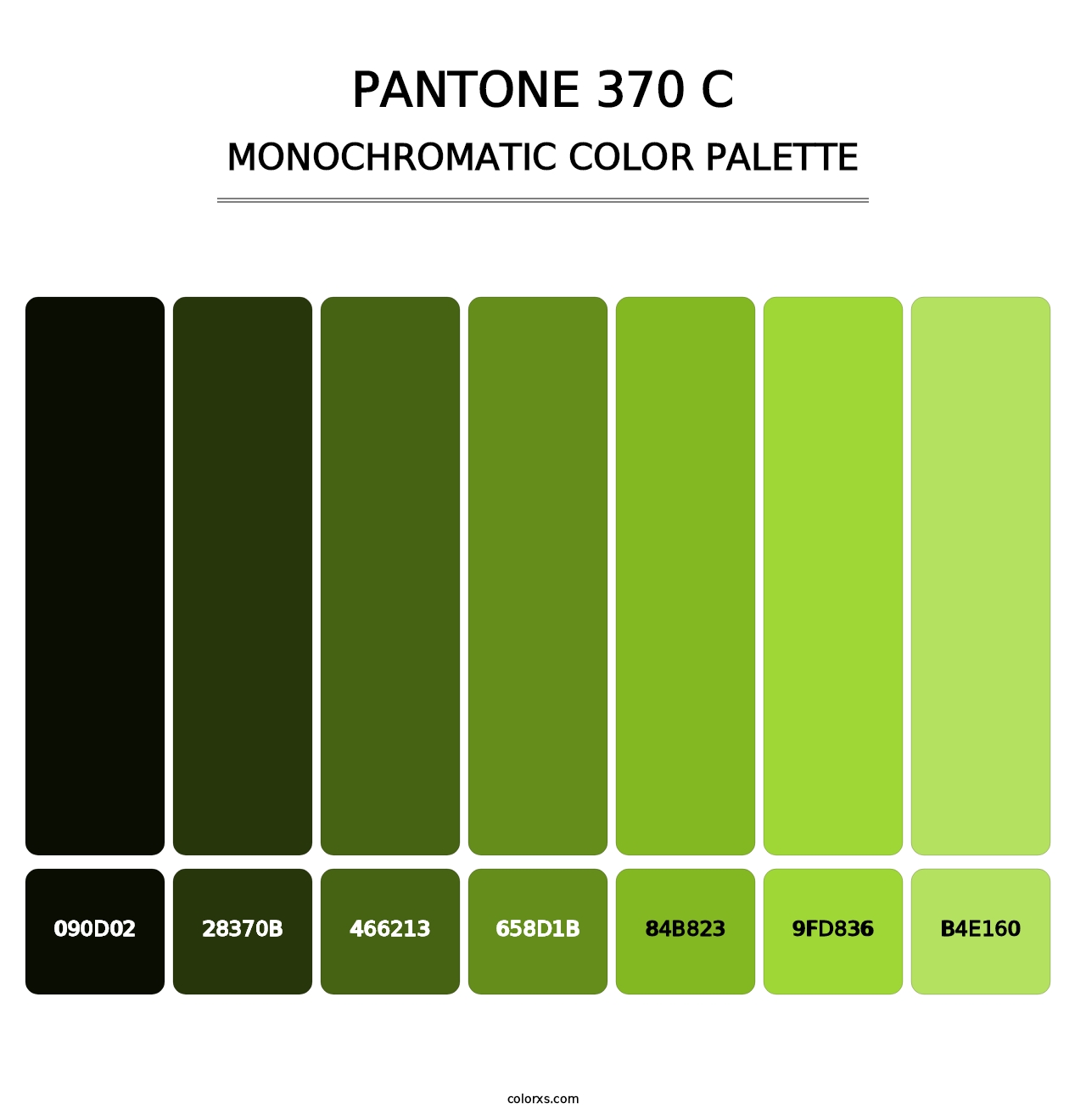 PANTONE 370 C - Monochromatic Color Palette