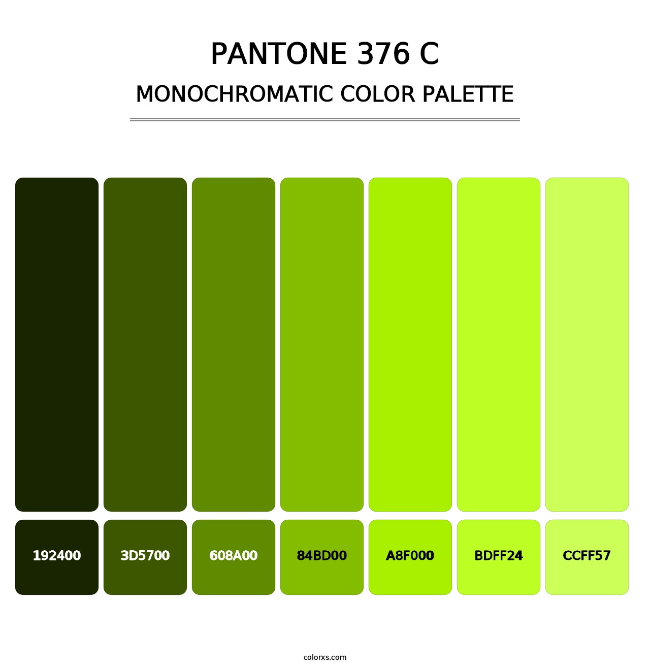 PANTONE 376 C - Monochromatic Color Palette