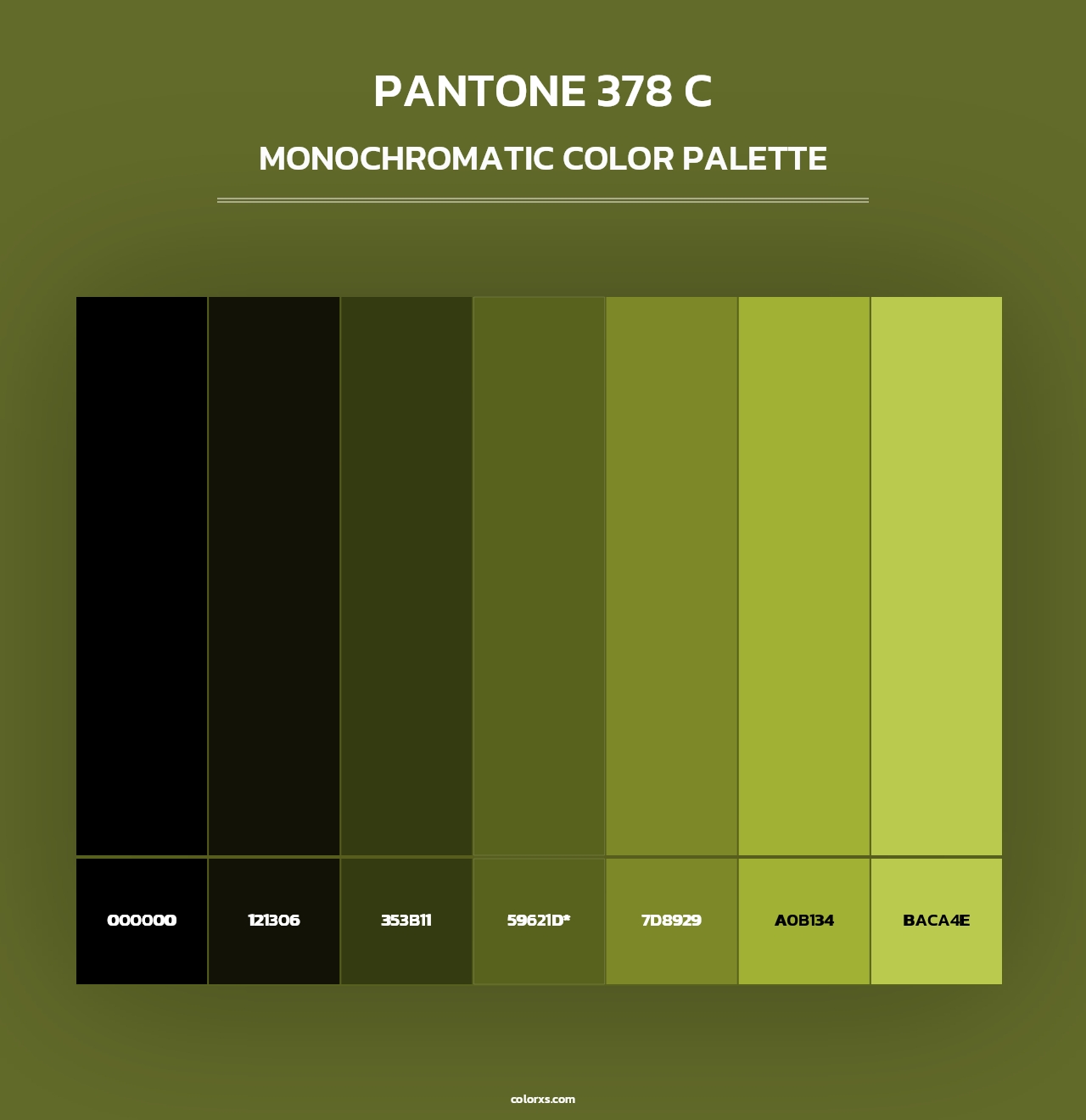 PANTONE 378 C - Monochromatic Color Palette
