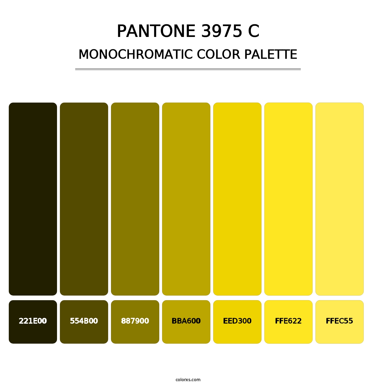 PANTONE 3975 C - Monochromatic Color Palette