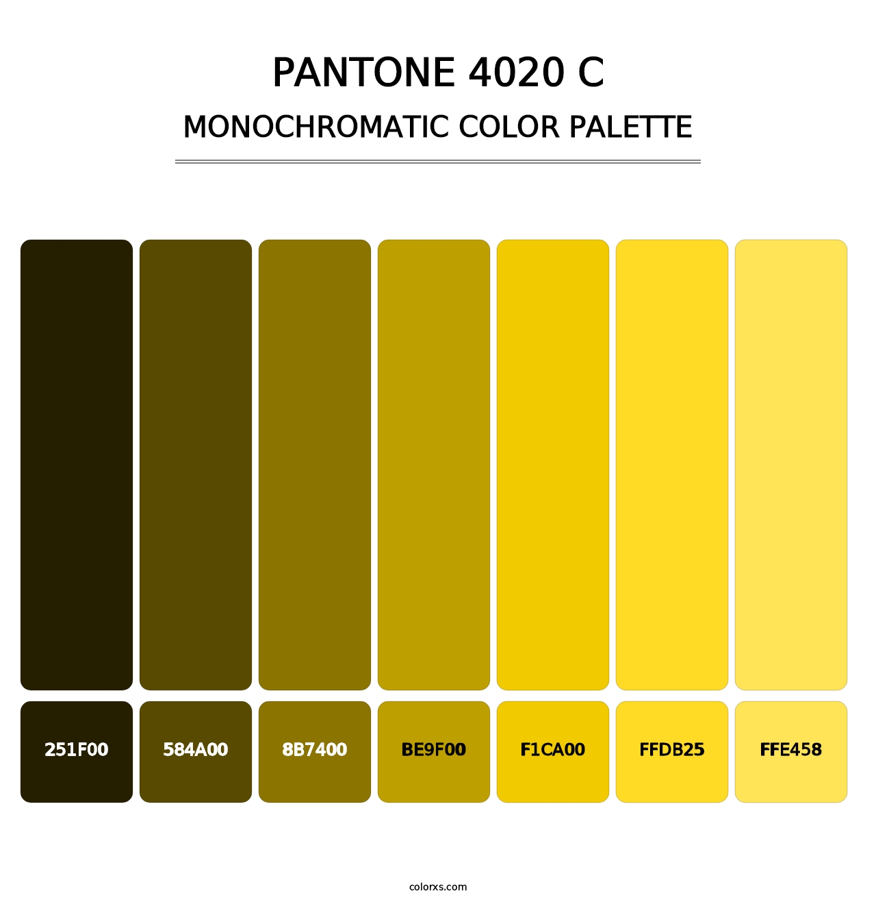 PANTONE 4020 C - Monochromatic Color Palette