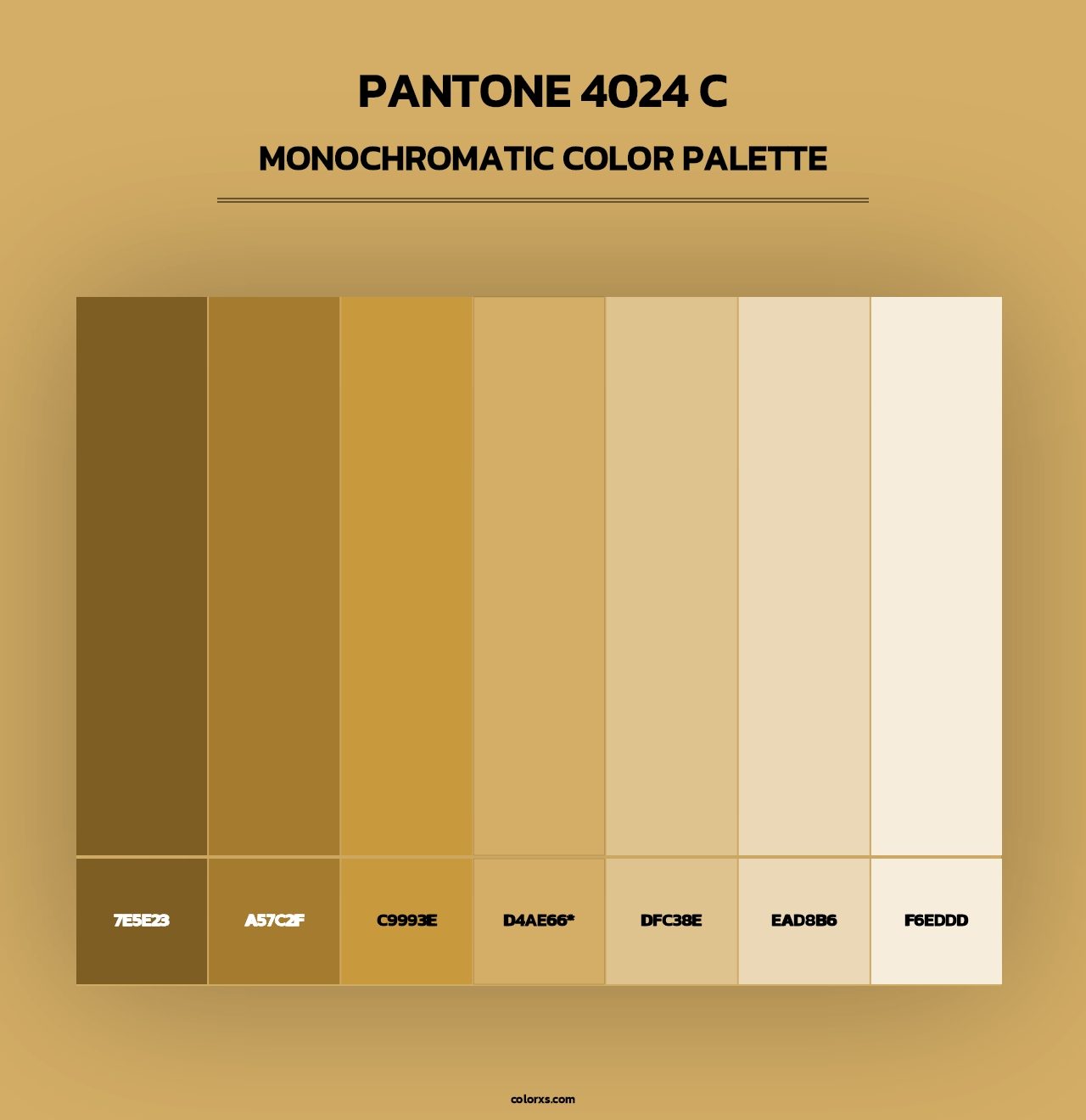 PANTONE 4024 C - Monochromatic Color Palette