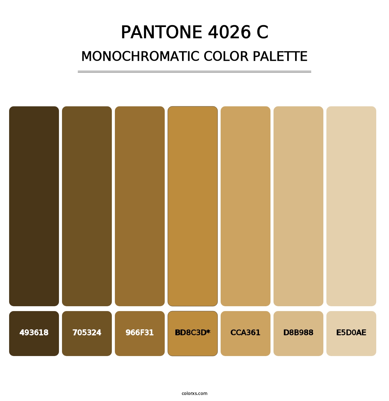 PANTONE 4026 C - Monochromatic Color Palette