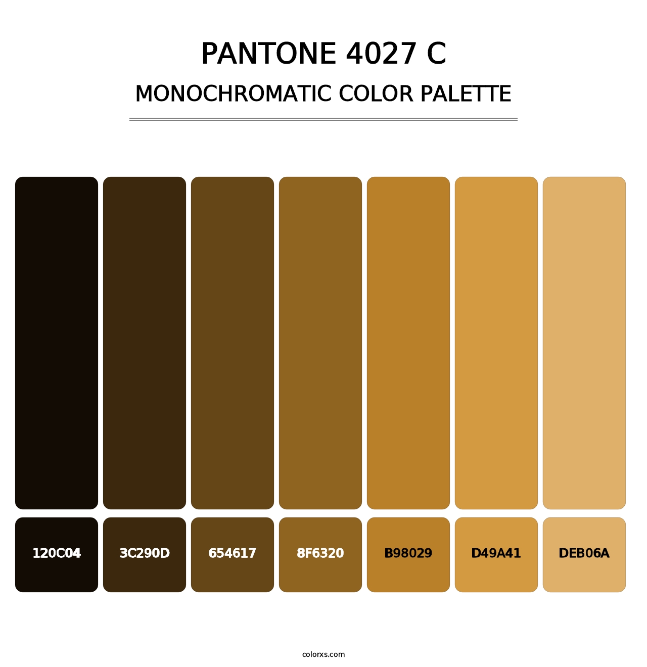 PANTONE 4027 C - Monochromatic Color Palette
