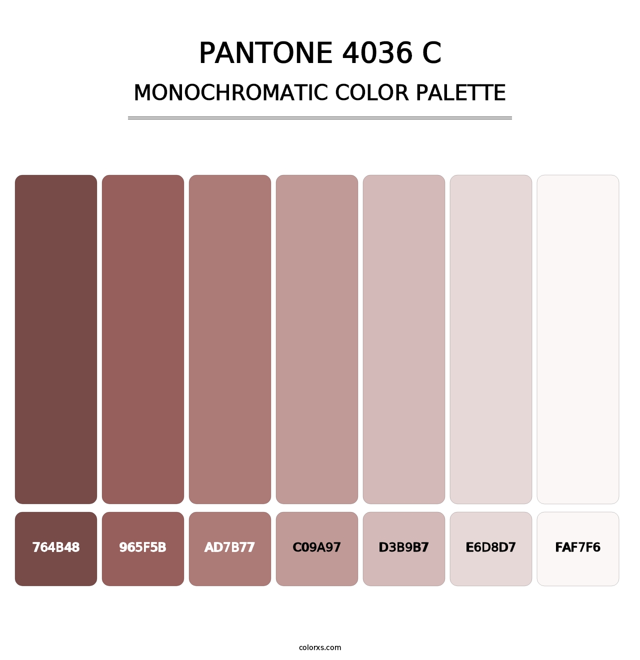 PANTONE 4036 C - Monochromatic Color Palette