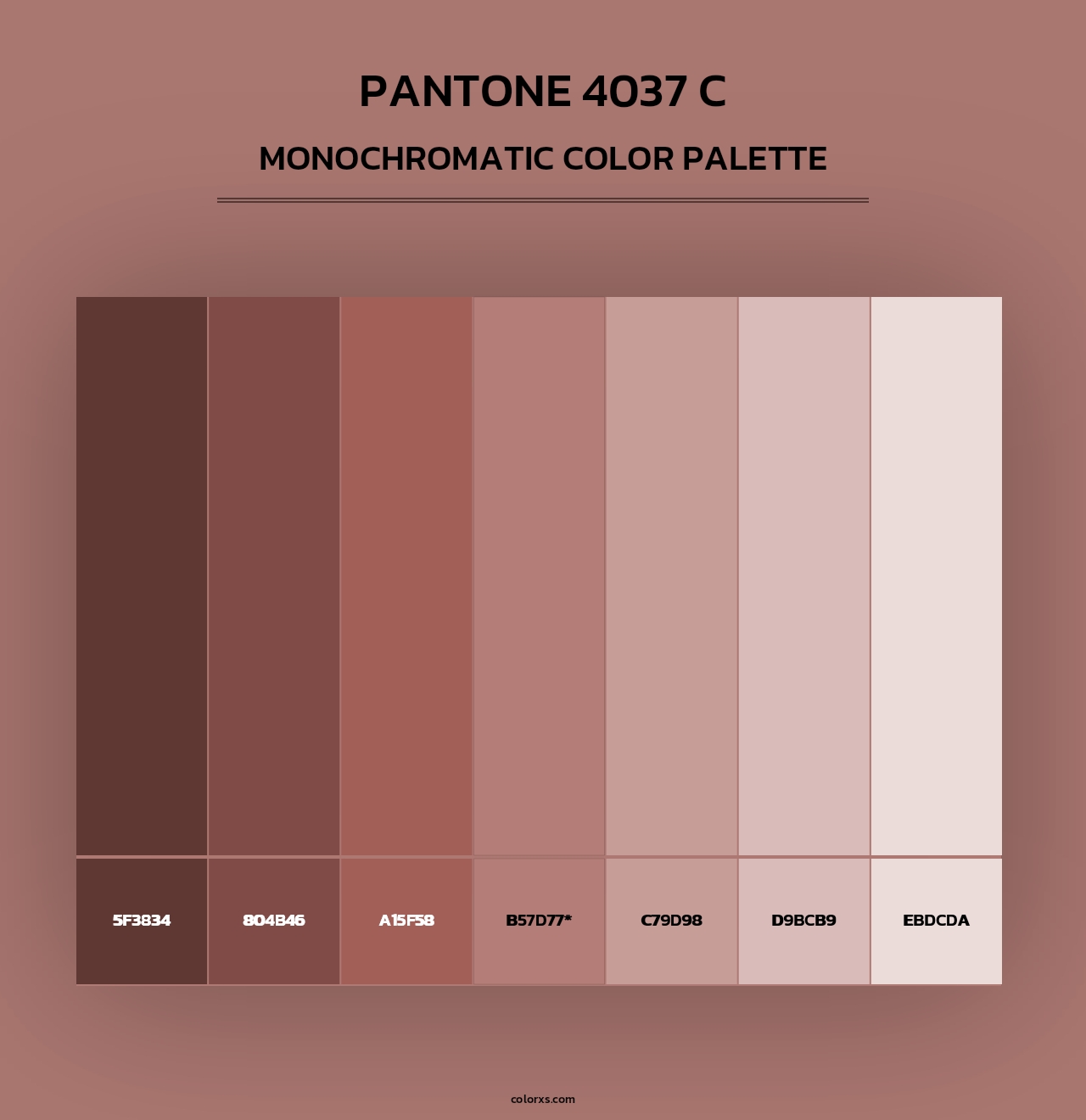 PANTONE 4037 C - Monochromatic Color Palette