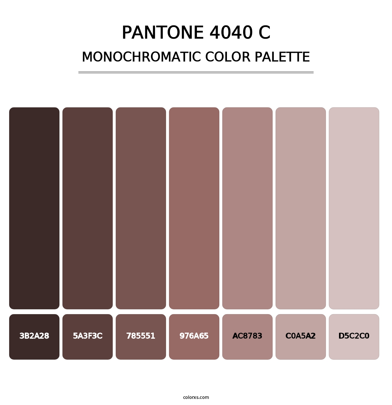 PANTONE 4040 C - Monochromatic Color Palette