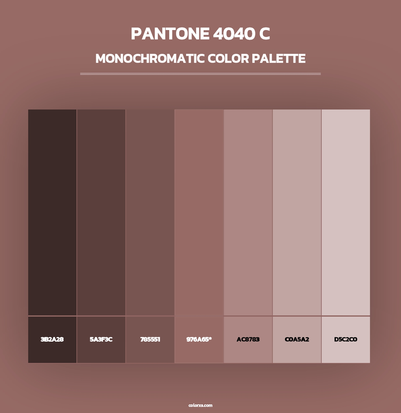 PANTONE 4040 C - Monochromatic Color Palette