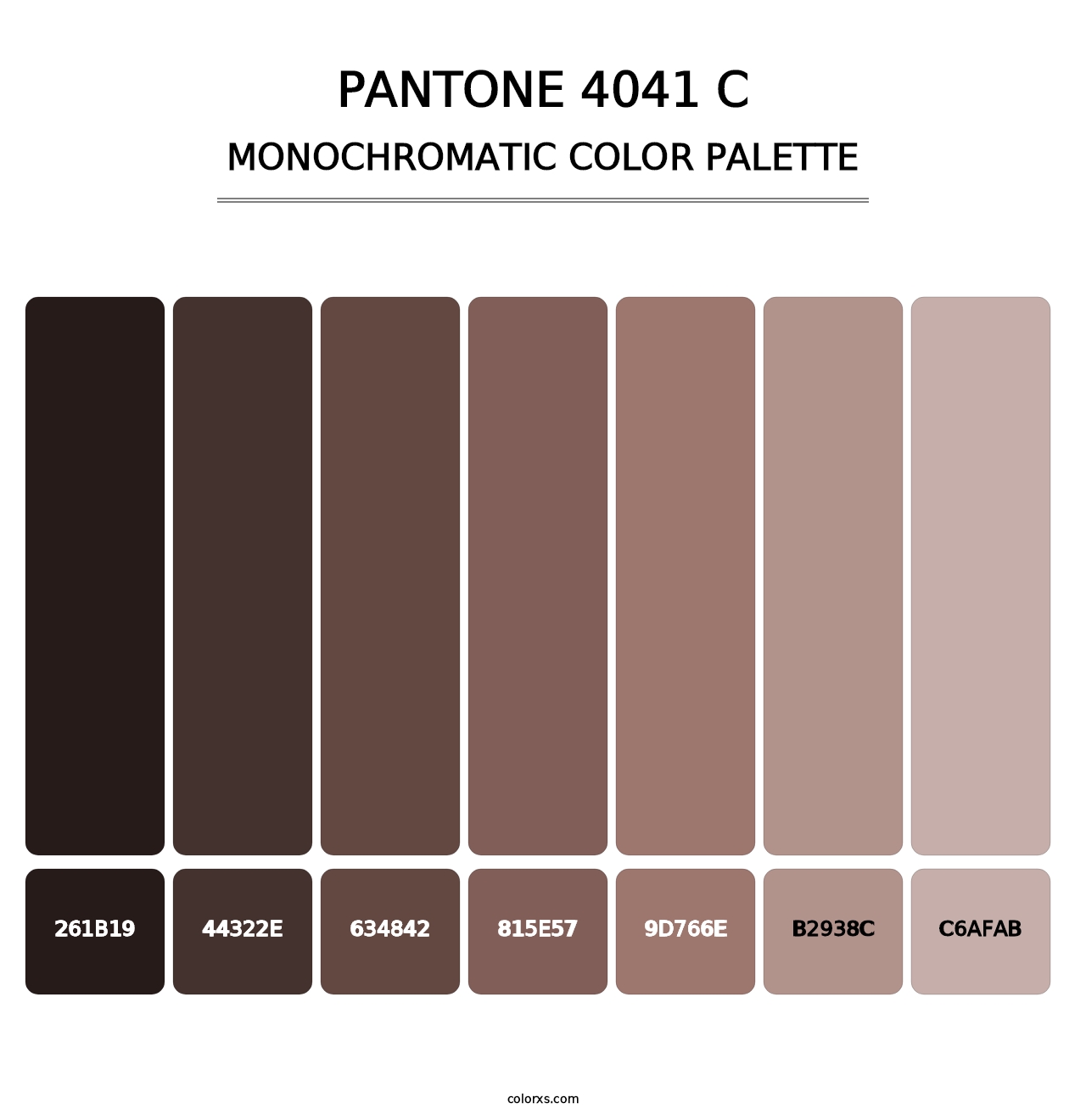 PANTONE 4041 C - Monochromatic Color Palette