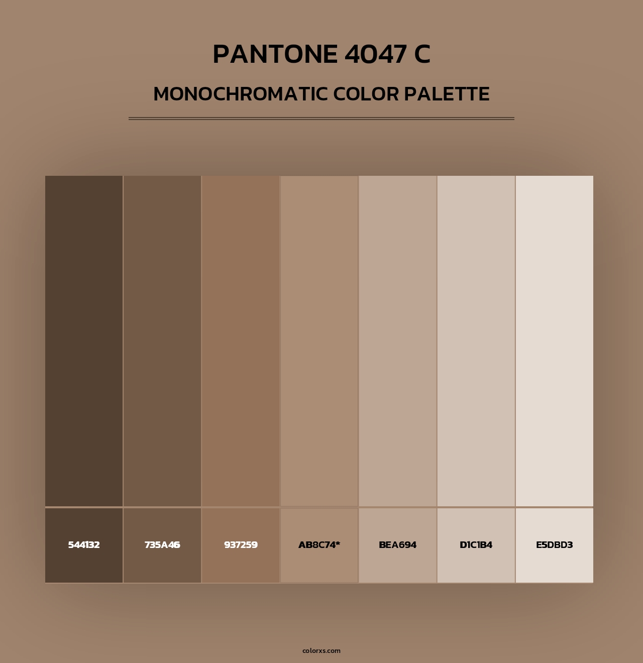 PANTONE 4047 C - Monochromatic Color Palette