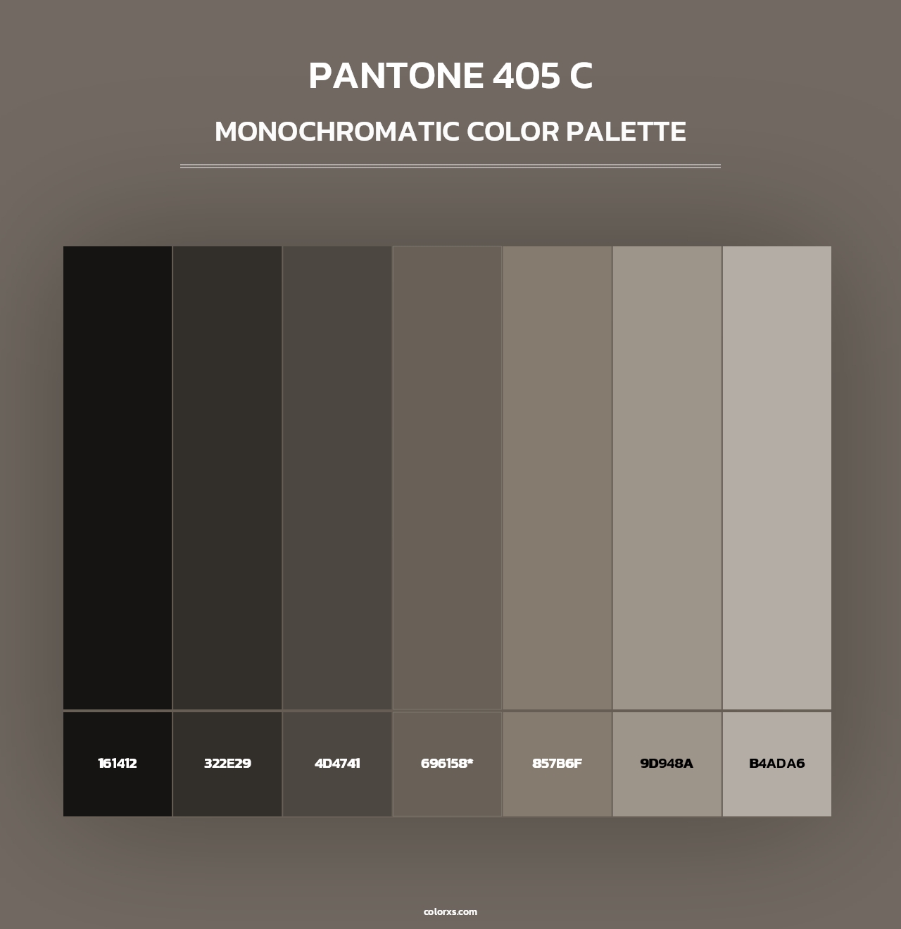 PANTONE 405 C - Monochromatic Color Palette