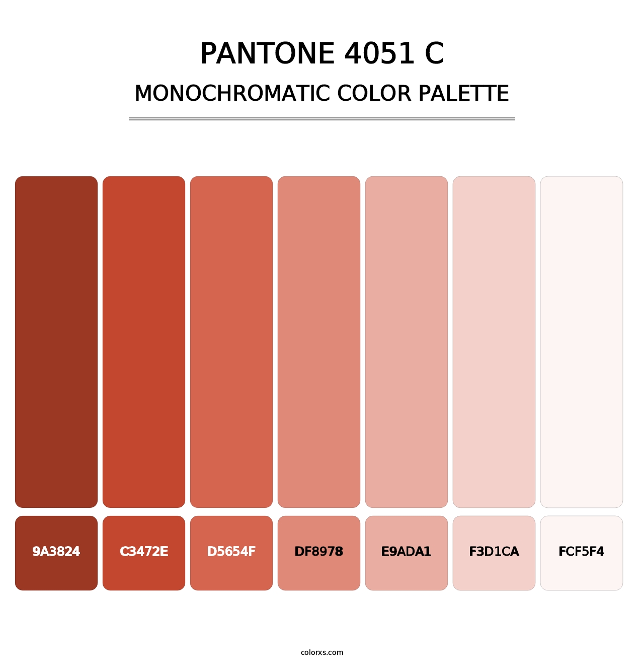 PANTONE 4051 C - Monochromatic Color Palette