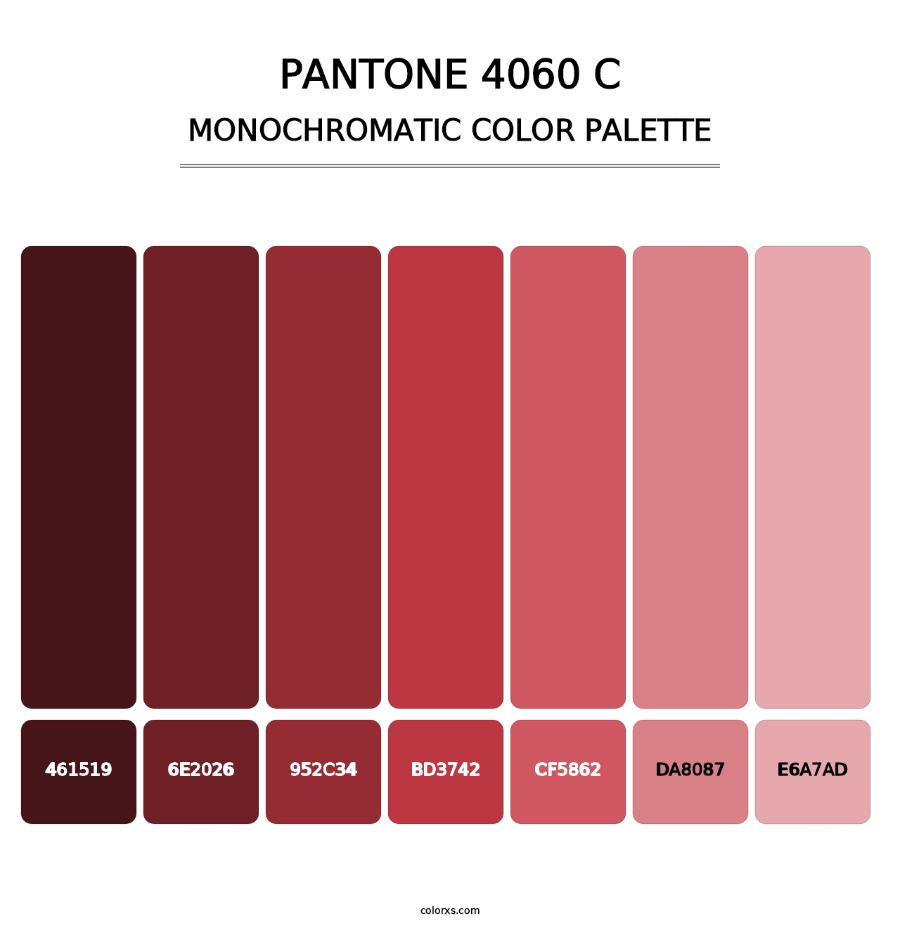 PANTONE 4060 C - Monochromatic Color Palette