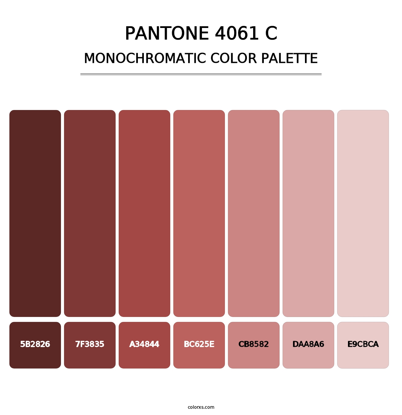 PANTONE 4061 C - Monochromatic Color Palette