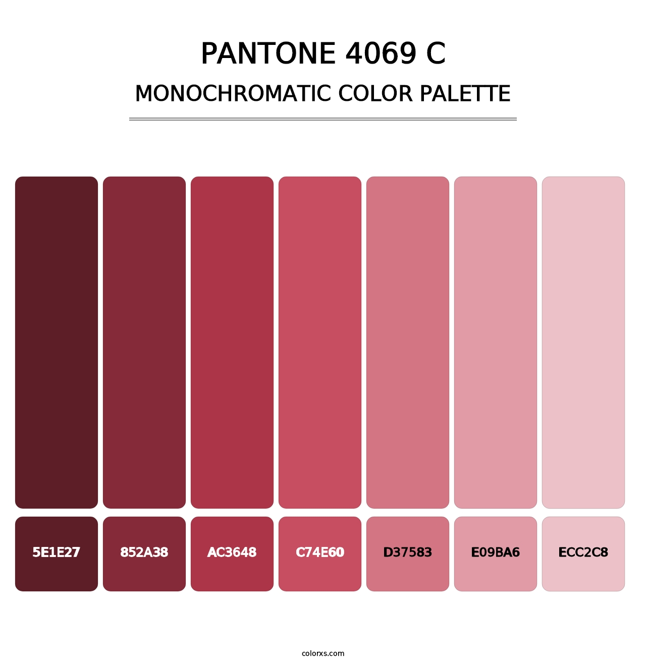 PANTONE 4069 C - Monochromatic Color Palette