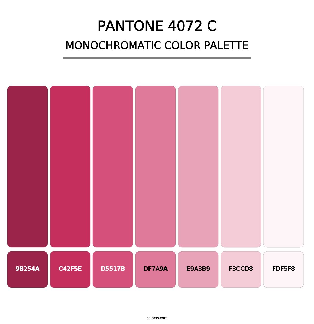 PANTONE 4072 C - Monochromatic Color Palette
