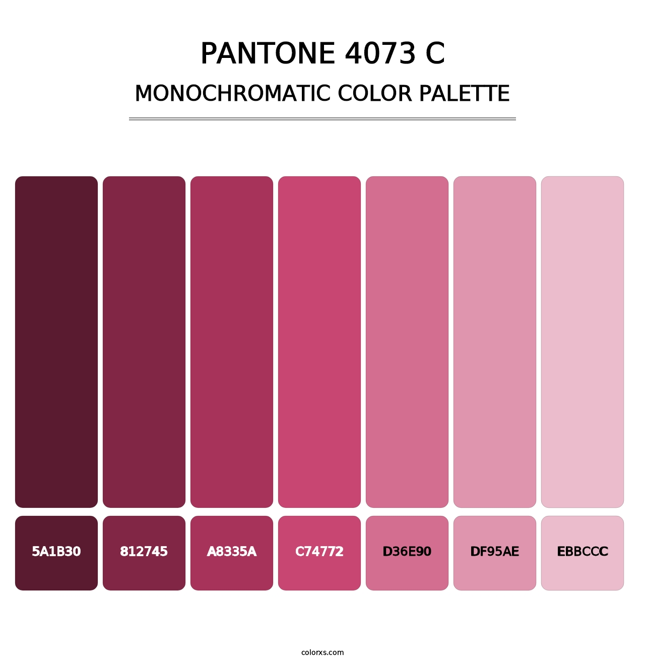 PANTONE 4073 C - Monochromatic Color Palette