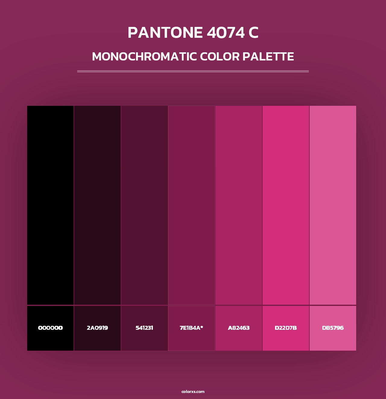 PANTONE 4074 C - Monochromatic Color Palette