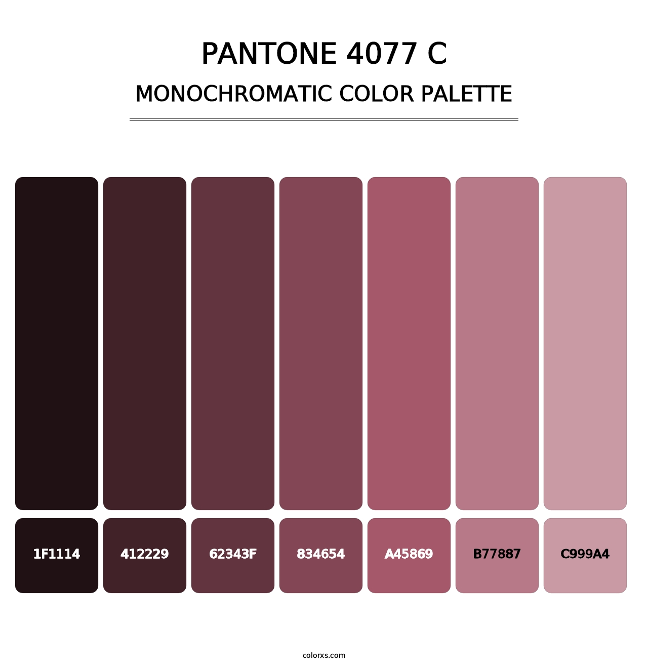 PANTONE 4077 C - Monochromatic Color Palette