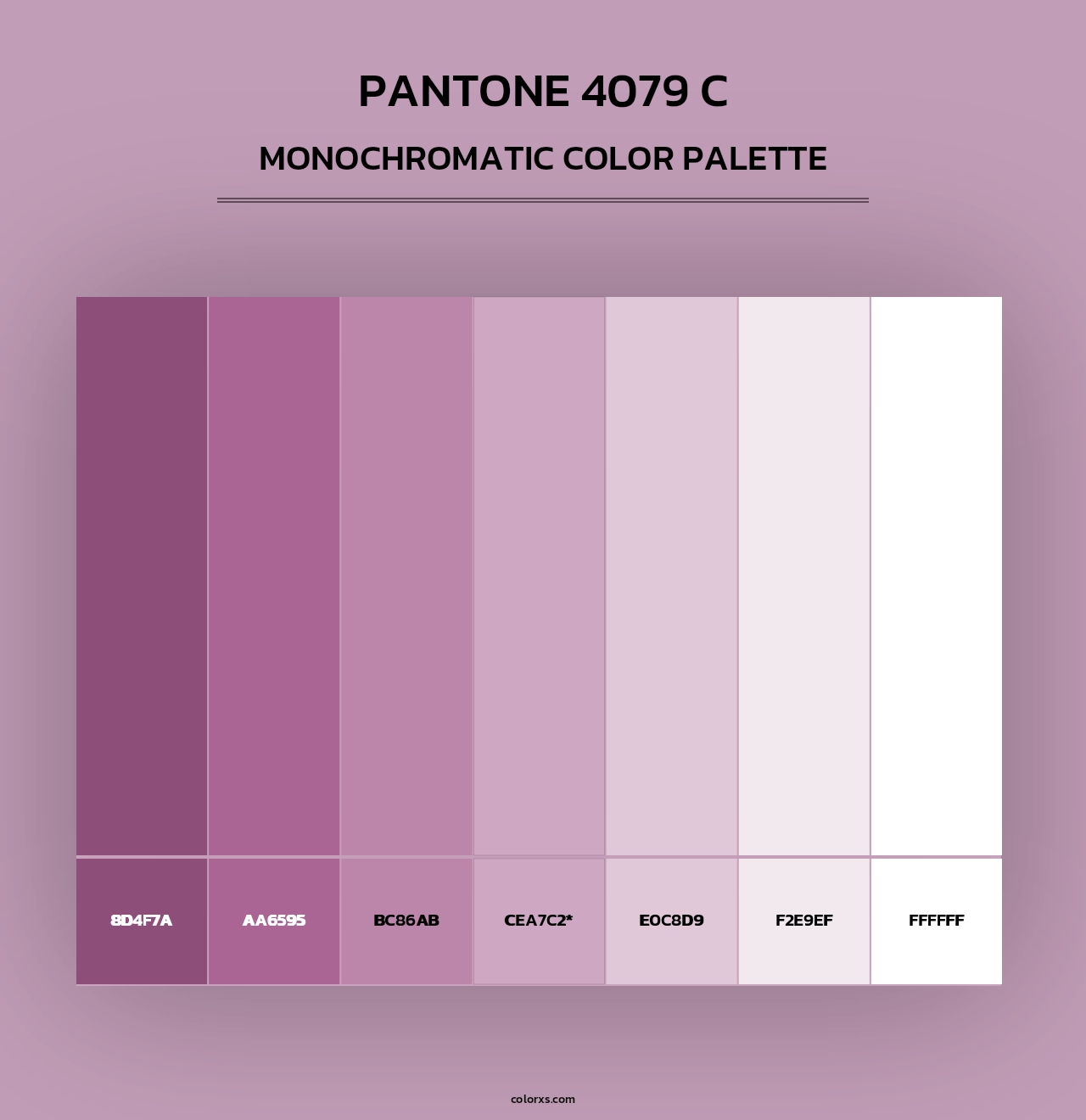 PANTONE 4079 C - Monochromatic Color Palette